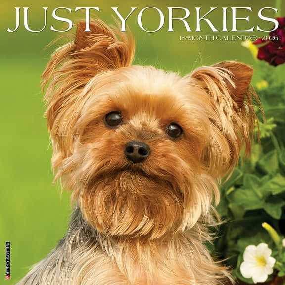 2026 Willow Creek Yorkies 12" x 12" Monthly Wall Calendar (53379)
