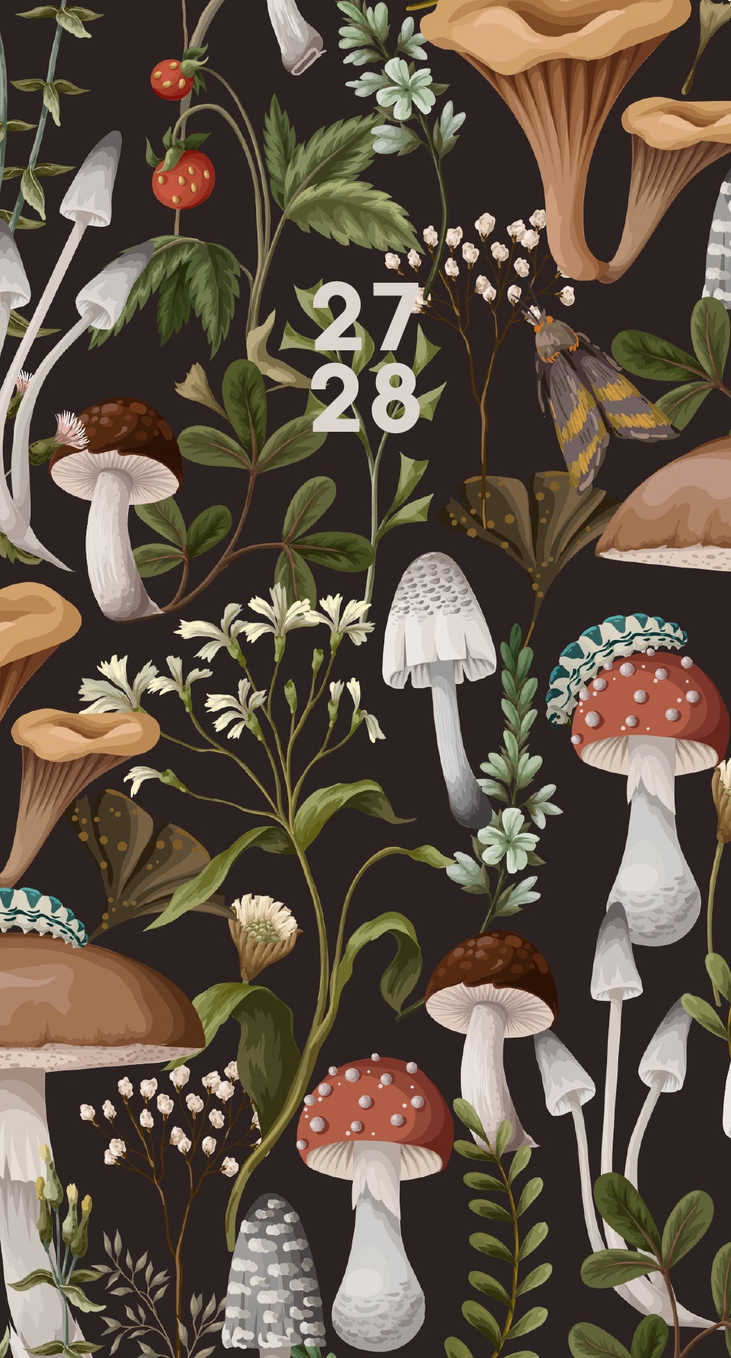 Willow Creek Press Mushrooms 2-Year 2027-28 3.5" x 6.5" Monthly Pocket Planner (66768)