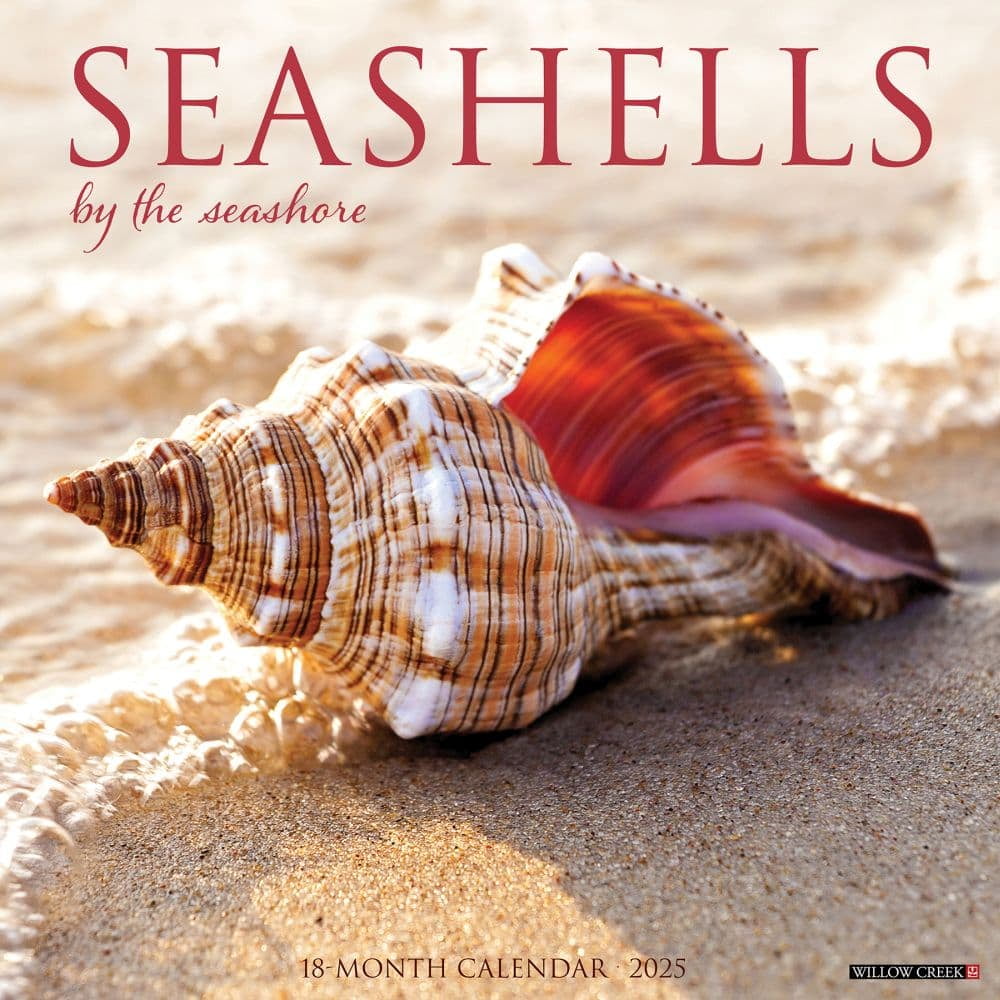 Willow Creek Press, Seashells 2025 Wall Calendar