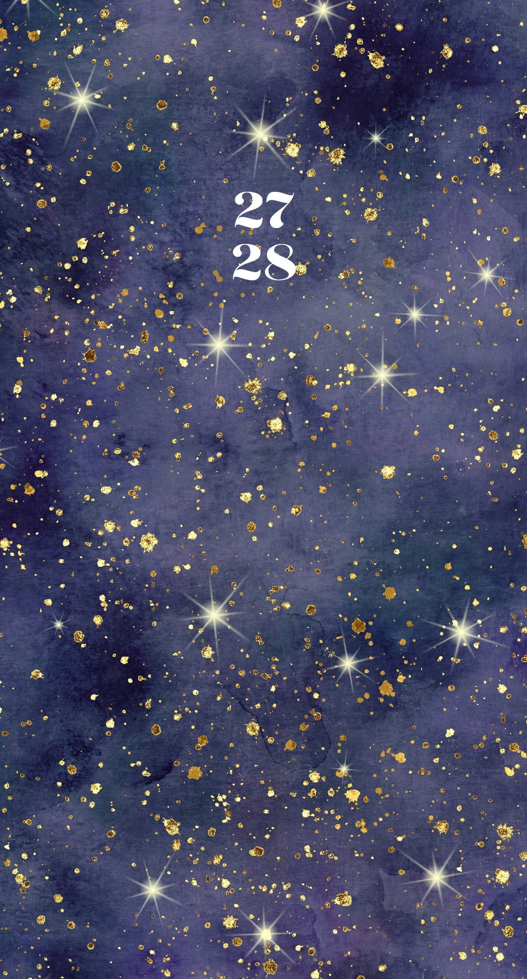 Willow Creek Press Starry Night 2-Year 2027-28 3.5" x 6.5" Monthly Pocket Planner (66966)
