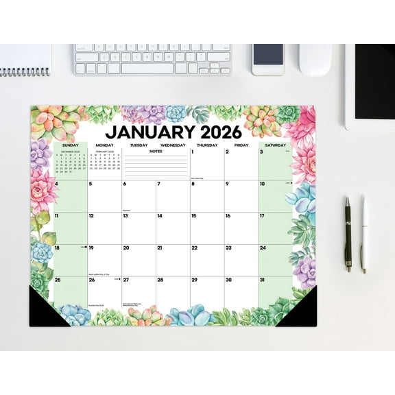 Willow Creek Press Succulents Academic July 2025 - June 2026 22" x 17" Large Monthly Deskpad Calendar