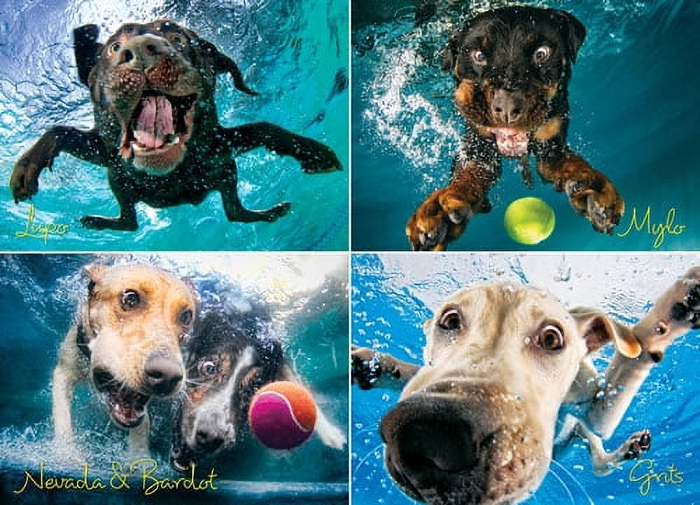 Willow Creek Press Underwater Dogs: Splash 1000-Piece Puzzle