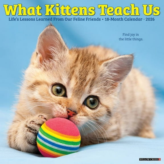 Willow Creek Press, What Kittens Teach Us 2026 Wall Calendar, 12'' X 12'', 18-Month Calendar with Stapled Binding