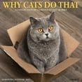 Willow Creek Press, Why Cats Do That 2025 Wall Calendar
