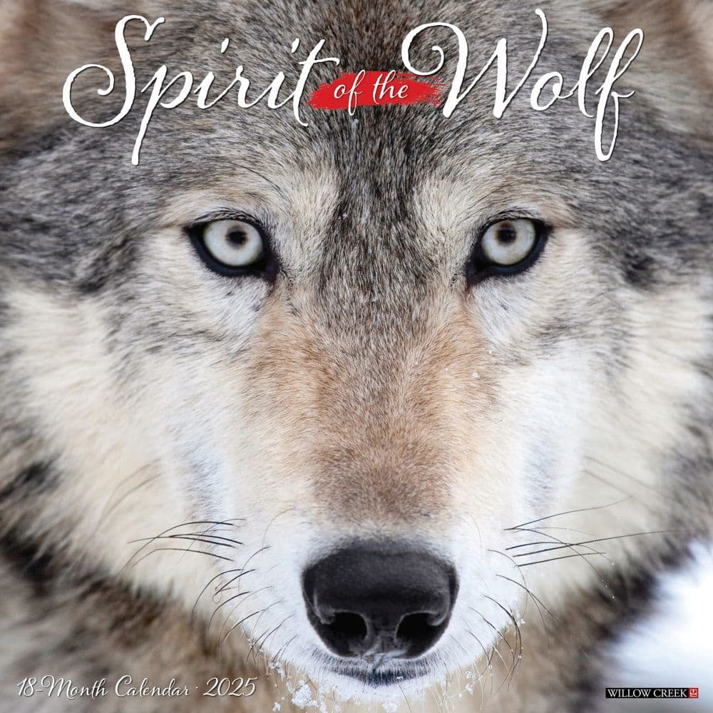 Willow Creek Press, Wolves 2025 Wall Calendar