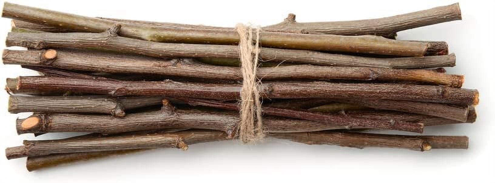 Willow Mega Munch Sticks for Rabbits Chinchilla Guinea Pigs 20