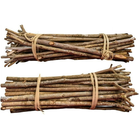 Willow Mega Munch Sticks for Rabbits Chinchilla Guinea Pigs - 40+ Sticks - Small Animal Treat Chew Toys