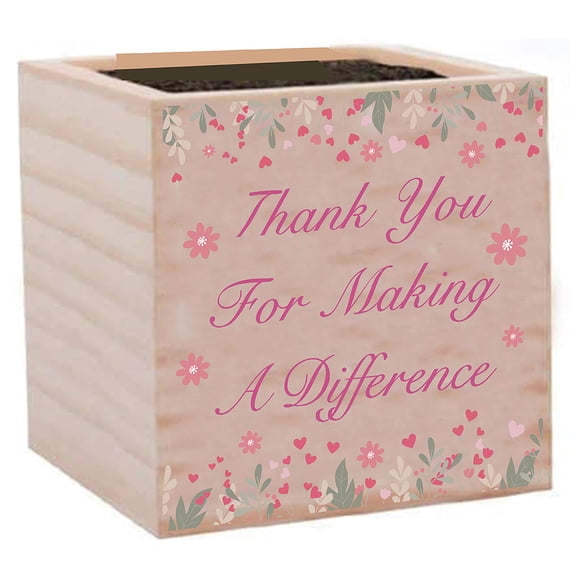 Willow Small Planter Boxes Cube Wood Flower Pots Rustic Wooden Boxes Planters with Pattern Window Desk Decorative for Garden Indoor Outdoor Plants