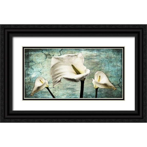 Willow, Susan P. 14x9 Black Ornate Wood Framed with Double Matting Museum Art Print Titled - Callas I