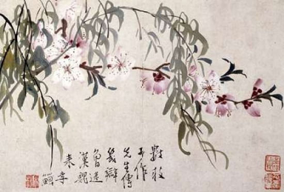 Willow and Peach Blossoms Canvas Art - Li Shan (12 x 18)