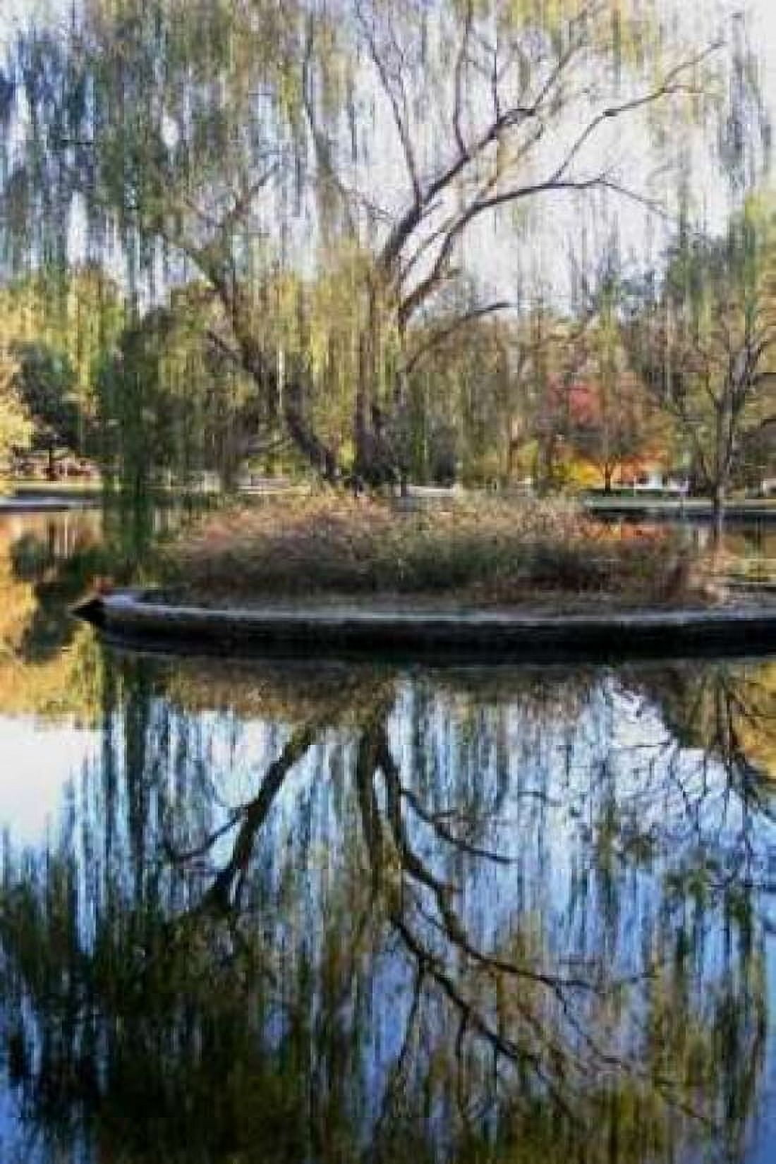 Willow in Fall Canvas Art - Tammy Putman (20 x 28)