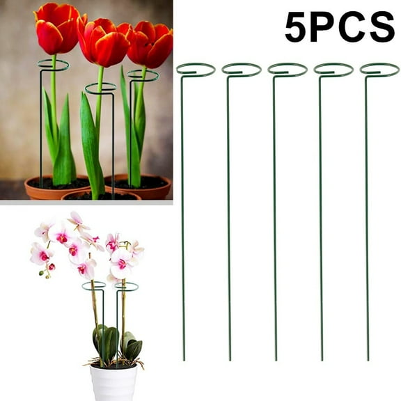 Txkrhwa 5PCS Garden Stake Plant Support Ferroalloy Plastic Climbing Plant Tie Holder Tools 17.5 Inch Height for Most Single-Stem Flowers and Plants