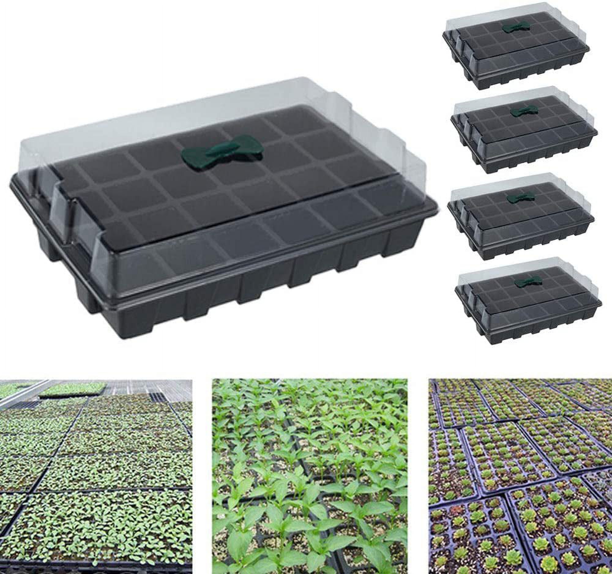 Willstar 5PCS Seed Trays with Lids 12 Cells Plant Germination Trays