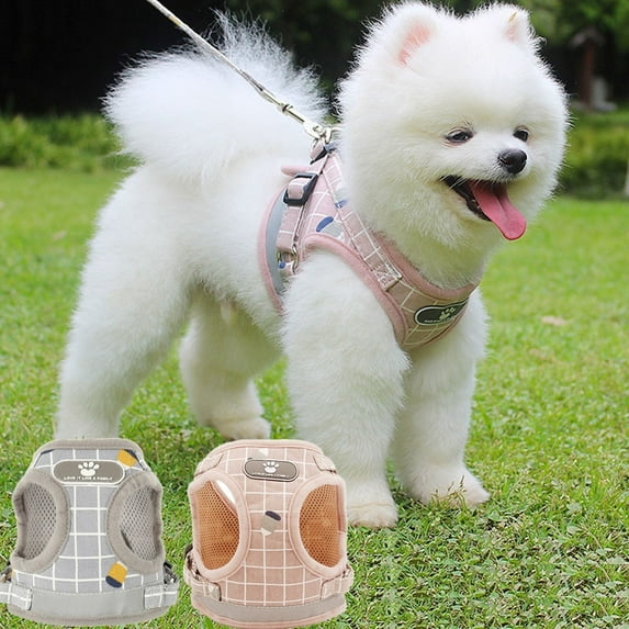 Willstar Pet Chest Harness Pet Harness with Leash Adjustable Vest Walking Chest Soft Breathable for Small Dogs-Gray-M