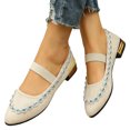 thumbnail image 1 of Willtoo Mary Jane Shoes Women Rhinestone Low Block Heel Pointed Toe Dress Flats Elastic Strap Slip On Non Slip Walking Shoes, 1 of 4