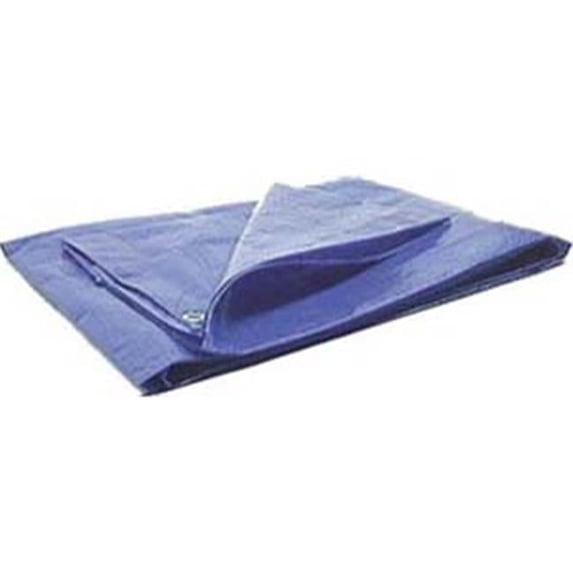 Wilmar PMW6002 Protective Tarp - Size 6 in. x 8 in.