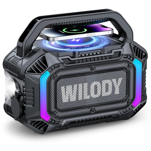 Wilody Speakers Bluetooth Wireless, 100W Loud Outdoor Speaker with Bass, IPX7 Waterproof Floatable, 20H Playtime, Wireless Charge, TWS, RGB Light, Portable Speaker for Work, Garage, Outdoor (Black)