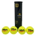 thumbnail image 1 of Wilson 2020 US Open Extra Duty Tennis Balls - 4 Ball Can | Ideal Performance on Hard, Abrasive Courts | Official Ball of the 2020 US Open | WR8204001001, 1 of 8