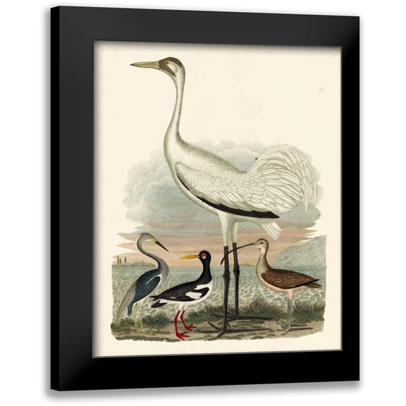 Wilson, A. 12x14 Black Modern Framed Museum Art Print Titled - Heron Family III