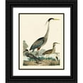 thumbnail image 1 of Wilson, A. 12x14 Black Ornate Wood Framed with Double Matting Museum Art Print Titled - Heron Family I, 1 of 4