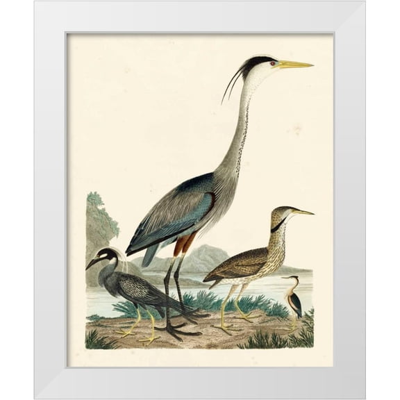 Wilson, A. 12x14 White Modern Wood Framed Museum Art Print Titled - Heron Family I