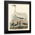 thumbnail image 1 of Wilson, A. 15x18 Black Modern Framed Museum Art Print Titled - Heron Family III, 1 of 5
