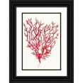 thumbnail image 1 of Wilson, Aimee 11x14 Black Ornate Wood Framed with Double Matting Museum Art Print Titled - Red Reef Coral II, 1 of 4
