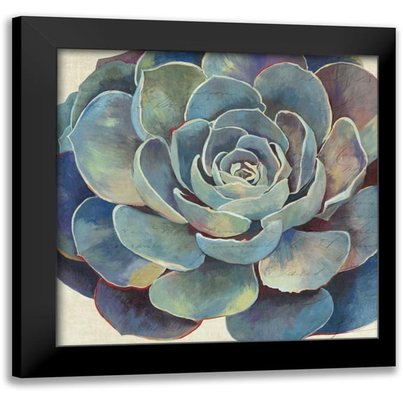 Wilson, Aimee 12x12 Black Modern Framed Museum Art Print Titled - Succulence I - Mini