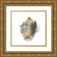 thumbnail image 1 of Wilson, Aimee 12x12 Gold Ornate Wood Framed with Double Matting Museum Art Print Titled - Shell Ashore, 1 of 4