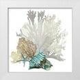 thumbnail image 1 of Wilson, Aimee 12x12 White Modern Wood Framed Museum Art Print Titled - Coral, 1 of 4