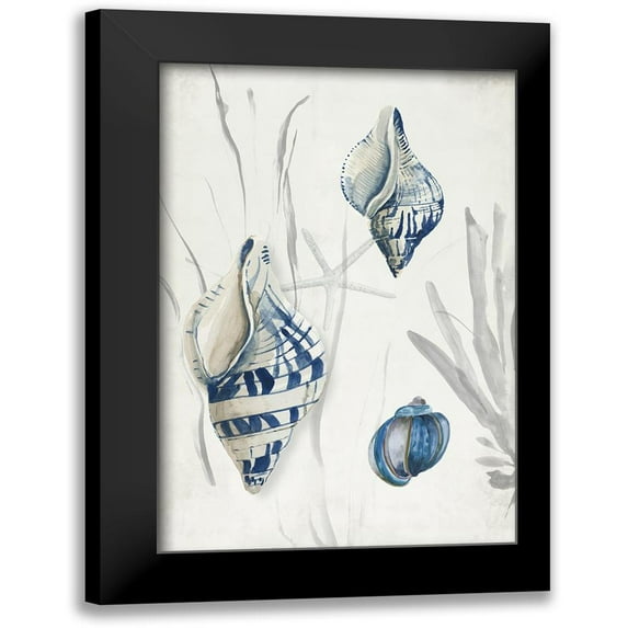 Wilson, Aimee 13x18 Black Modern Framed Museum Art Print Titled - Antique Shells II