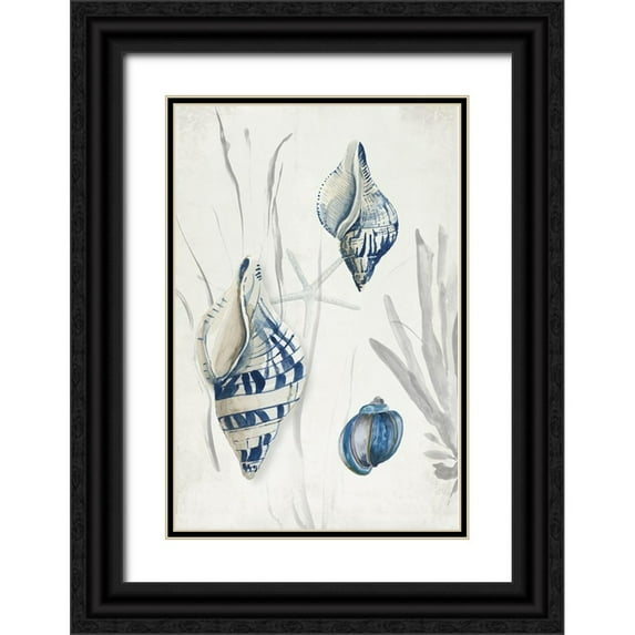 Wilson, Aimee 13x18 Black Ornate Wood Framed with Double Matting Museum Art Print Titled - Antique Shells II