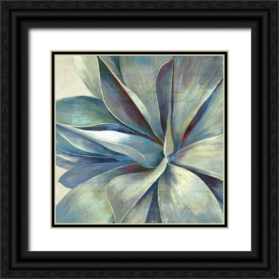 Wilson, Aimee 15x15 Black Ornate Wood Framed with Double Matting Museum Art Print Titled - Succulence II - Mini