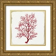 thumbnail image 1 of Wilson, Aimee 15x15 Gold Ornate Wood Framed with Double Matting Museum Art Print Titled - Red Coral III, 1 of 4