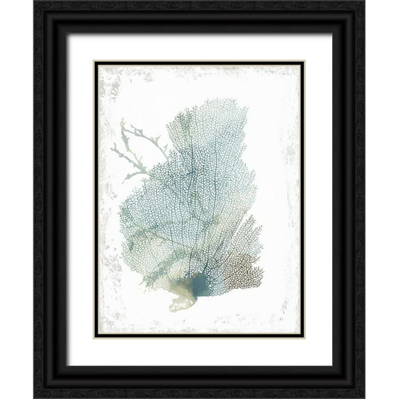 Wilson, Aimee 19x24 Black Ornate Wood Framed with Double Matting Museum Art Print Titled - Teal Delicate Coral II