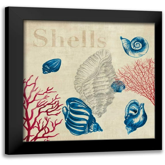 Wilson, Aimee 20x20 Black Modern Framed Museum Art Print Titled - Shell Study