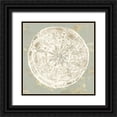 thumbnail image 1 of Wilson, Aimee 20x20 Black Ornate Wood Framed with Double Matting Museum Art Print Titled - Cone Shells III, 1 of 4
