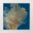 thumbnail image 1 of Wilson, Aimee 20x20 White Modern Wood Framed Museum Art Print Titled - Gold Coral I, 1 of 4