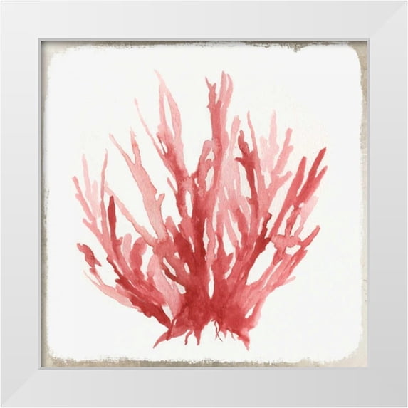Wilson, Aimee 20x20 White Modern Wood Framed Museum Art Print Titled - Red Coral I