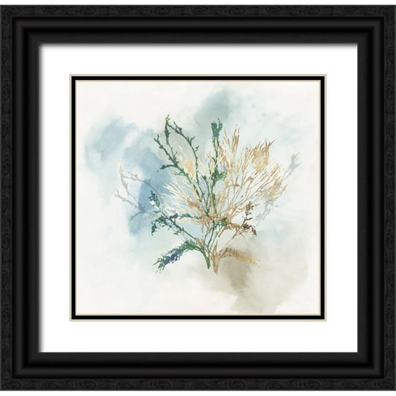 Wilson, Aimee 21x20 Black Ornate Wood Framed with Double Matting Museum Art Print Titled - Green Coral II