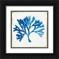 thumbnail image 1 of Wilson, Aimee 26x26 Black Ornate Wood Framed with Double Matting Museum Art Print Titled - Blue Coral IV, 1 of 4