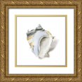 thumbnail image 1 of Wilson, Aimee 26x26 Gold Ornate Wood Framed with Double Matting Museum Art Print Titled - Seafoam Shell, 1 of 4