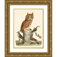 thumbnail image 1 of Wilson, Alexander 25x32 Gold Ornate Wood Framed with Double Matting Museum Art Print Titled - Wilson Owls II, 1 of 4