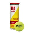 thumbnail image 1 of Wilson Championship Extra Duty Tennis 3 Ball Cans - 20 Pack, 1 of 6