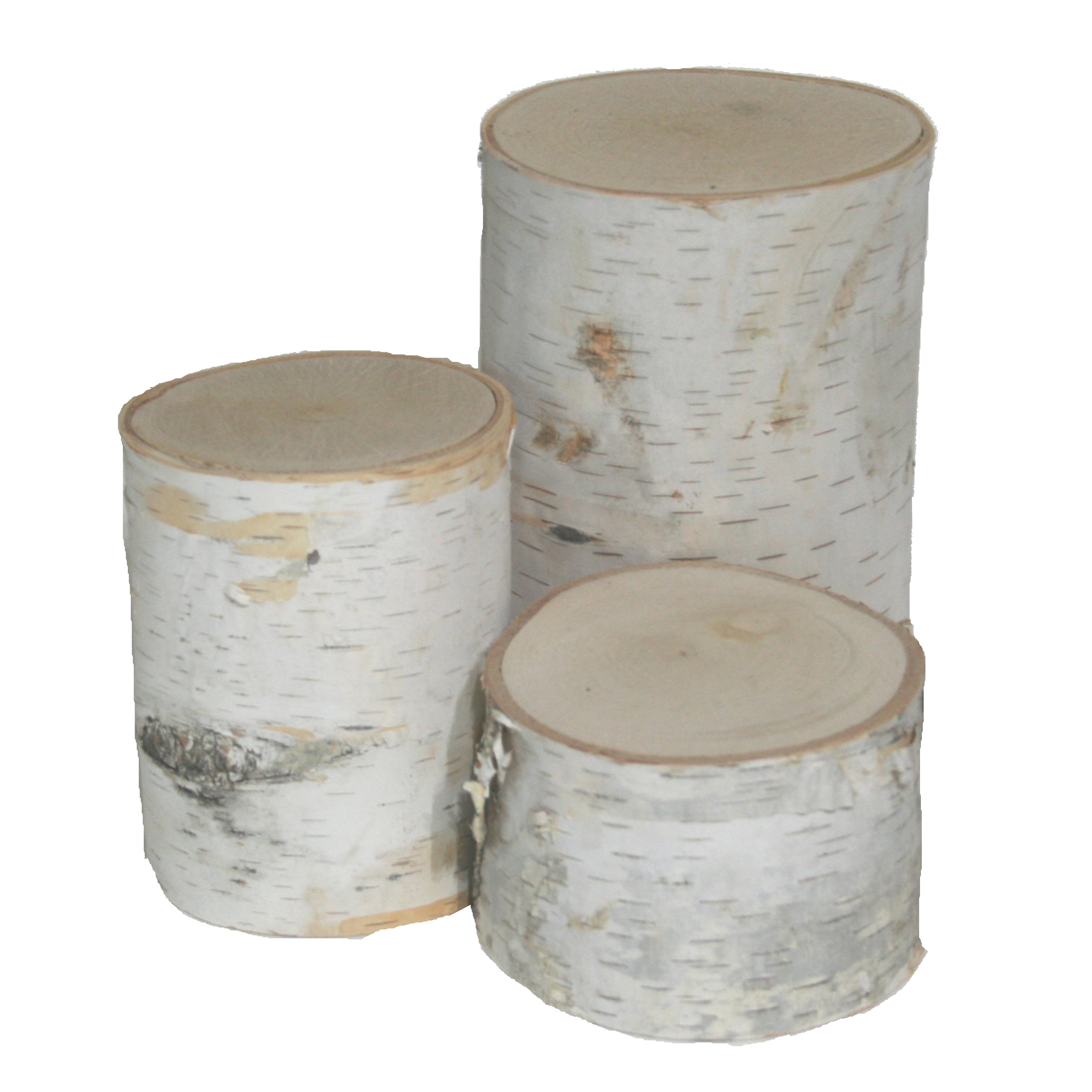 Wilson White Birch Decorative Pillars, Set of 3