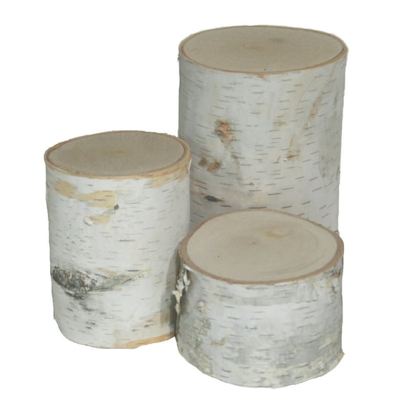 Wilson Country Rustic Decorative White Decorative Accent, Set of 3
