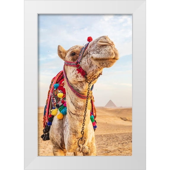 Wilson, Emily 13x18 White Modern Wood Framed Museum Art Print Titled - Africa-Egypt-Cairo Giza plateau Camel near the great Giza pyramids