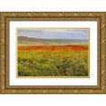 thumbnail image 1 of Wilson, Emily 14x11 Gold Ornate Wood Framed with Double Matting Museum Art Print Titled - Italy-Apulia-Metropolitan City of Bari-Gravina in Puglia Large field of barley and poppies, 1 of 4