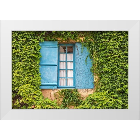 Wilson, Emily 14x11 White Modern Wood Framed Museum Art Print Titled - France-Dordogne-Hautefort A blue shuttered window in an ivy covered wall in the town of Hautefort