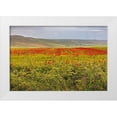 thumbnail image 1 of Wilson, Emily 18x13 White Modern Wood Framed Museum Art Print Titled - Italy-Apulia-Metropolitan City of Bari-Gravina in Puglia Large field of barley and poppies, 1 of 4